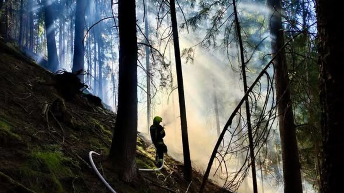 Waldbrand zwischen Moos und Maria Saalen gelöscht